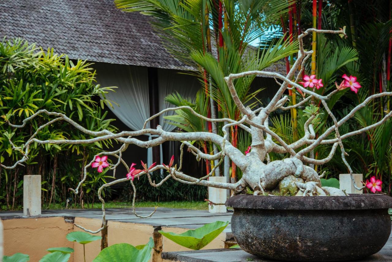Sunset Hill Bed & Breakfast Ubud Exterior foto